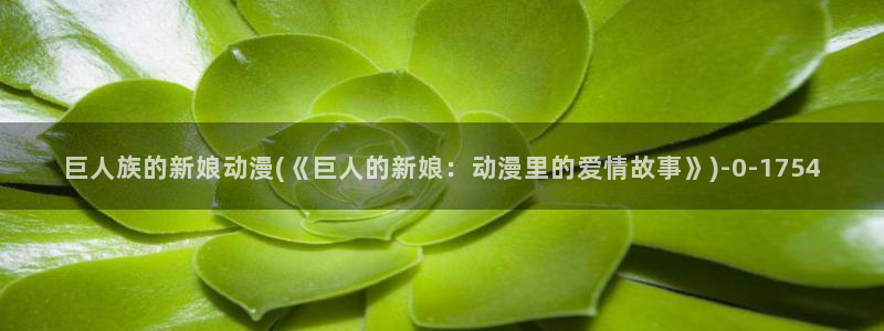 黑暗圣经动漫:巨人族的新娘动漫(《巨人的新娘:动漫里的爱情故事》)