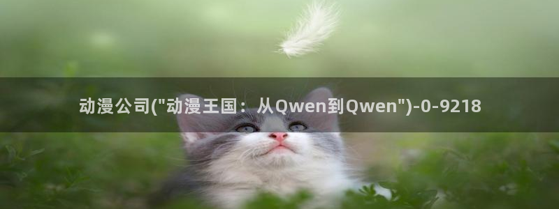欧美动漫:动漫公司(\